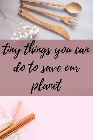 Tiny-Things-You-Can-Do-to-Save-Our-Planet