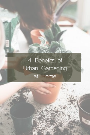 4-Benefits-of-Urban-Gardening-at-Home