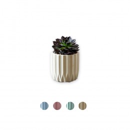 Alexa-Cactus-Pot-D8-Colour