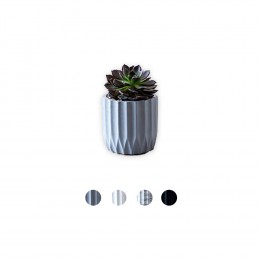 Alexa-Cactus-Pot-D8-Basic